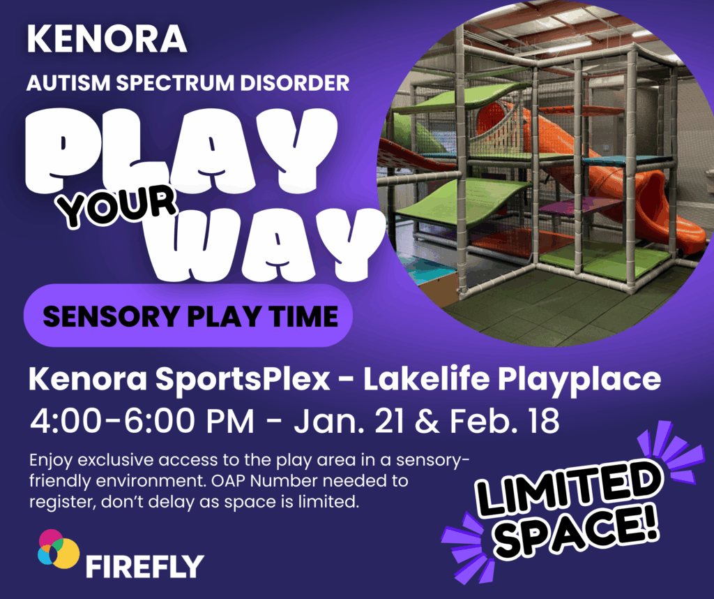 Kenora Meet and Greet Jan Febe background with an image in the top right corner that shows the playground slide as well as the netted steps to get up to the slide. The slide is bright orange and the steps are bright green and pink.